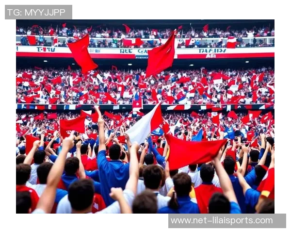 足球爱好者的激情与梦想探索球场内外的无限可能