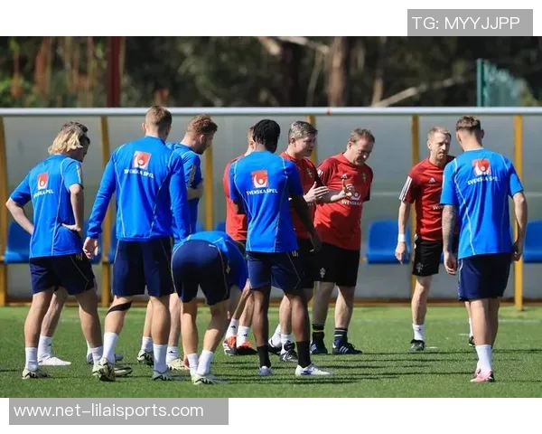 瑞典足球队的辉煌历程与未来展望解析